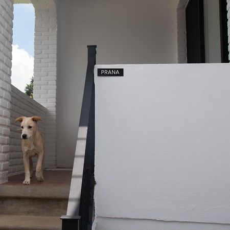 Casa Naamja Otel Tepoztlán Dış mekan fotoğraf