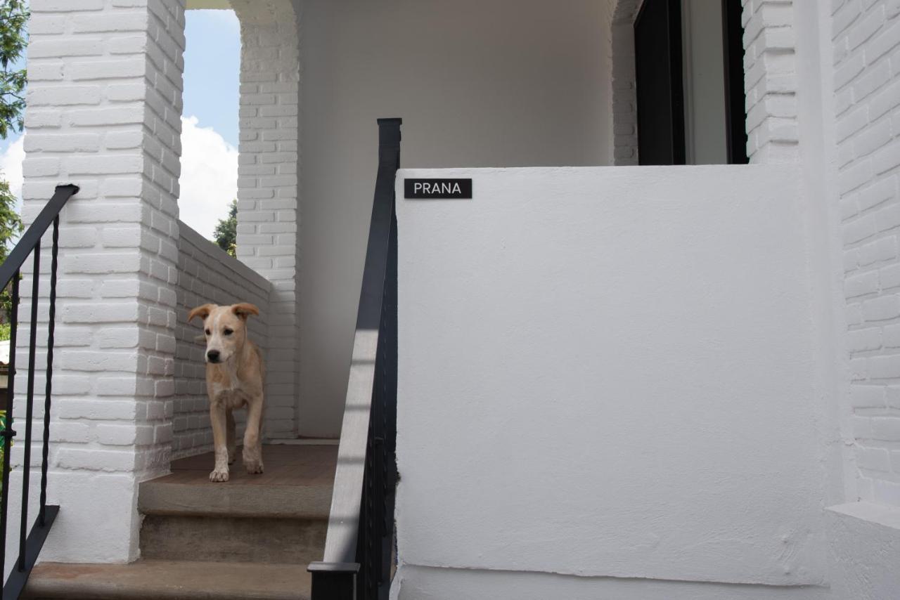 Casa Naamja Otel Tepoztlán Dış mekan fotoğraf