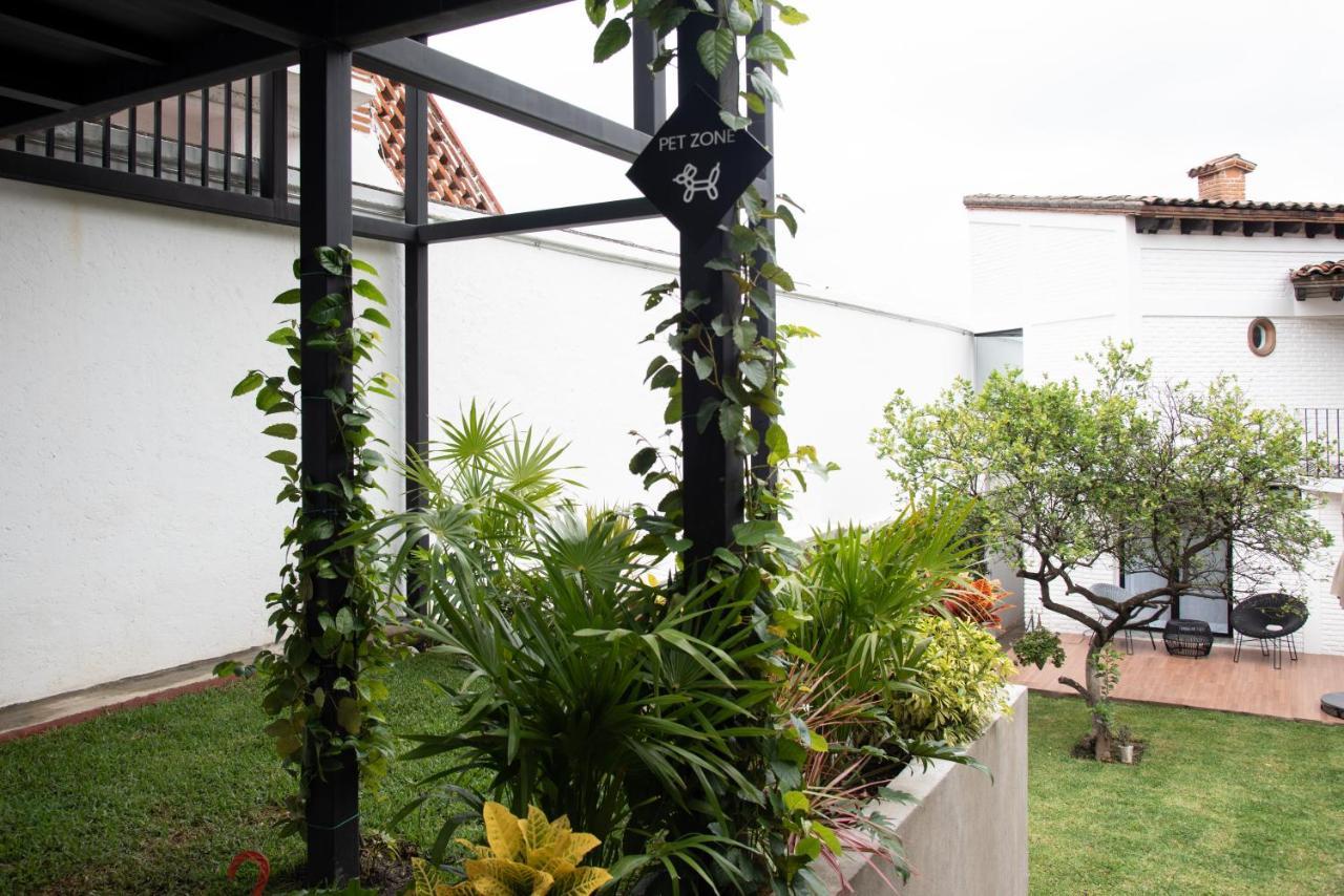 Casa Naamja Otel Tepoztlán Dış mekan fotoğraf